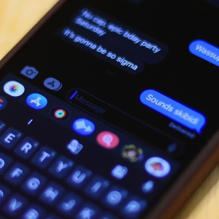 New school year, new slang: Gen Alpha terms explained, no Fanum tax necessary